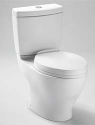 Aquia dual-flush toilet