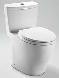 Aquia one-piece toilet