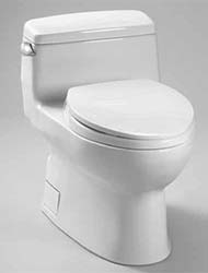 Carolina toilet