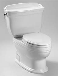 Carrollton unique one-piece toilet