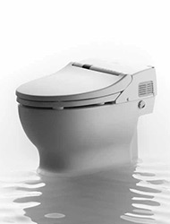 Neorest 500 toilet