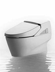 Neorest 600 toilet