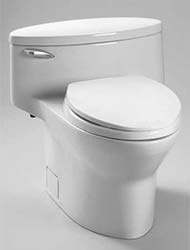 Pacifica one-piece toilet