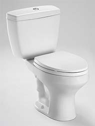 Rowan dual-flush toilet