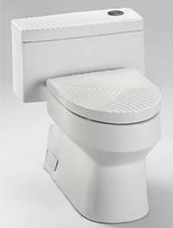 Ryohan unique one piece toilet