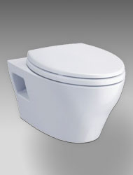 EP Wall-Hung toilet