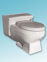 Polaris one-piece toilet