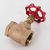 Bronze globe valve