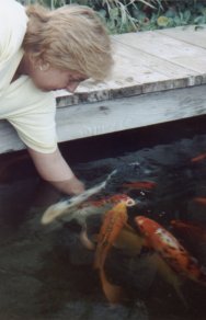 Vic's sister feeding koi pond