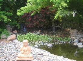 10,000 gallon pond May 2002