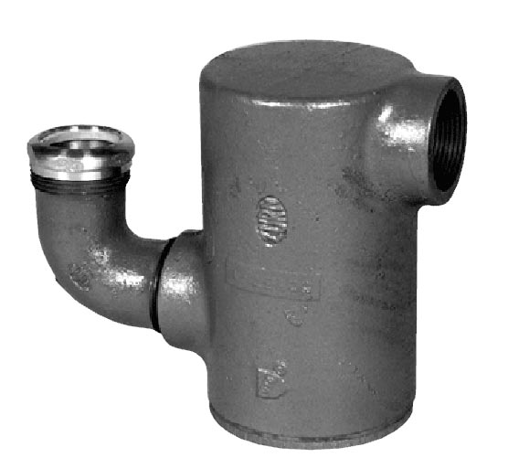 Hair and solids interceptor