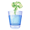 Common odor problems in water